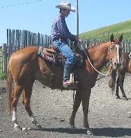 CB Hick Doc Sam- SOLD