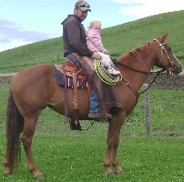 CB Dani Chex